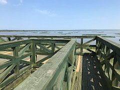 260_iP_20180723_IMG_2265