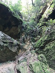 280_ip_20180812_IMG_2371