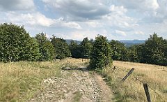 200_iP_180817_IMG_2451