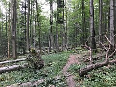 467_iP_180821_IMG_2531