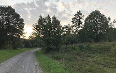 398_iP_180828_IMG_2950