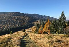 083_iP_181009_IMG_3090