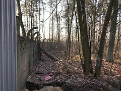 038_iP_181130_IMG_3276