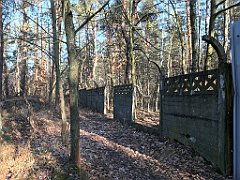 041_iP_181130_IMG_3281