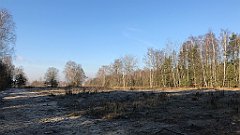 045_iP_181130_IMG_3283