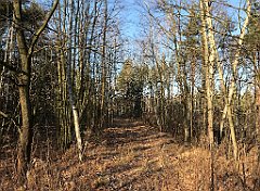 047_iP_181130_IMG_3284