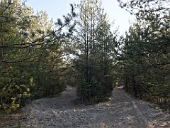 077_iP_181130_IMG_3308