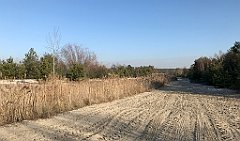 080_iP_181130_IMG_3310