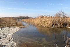 082_iP_181130_IMG_3313