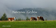 2018_07_12a_Hanczowa_Grybow