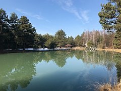 135_ip_190218_IMG_3550