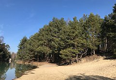 143_ip_190218_IMG_3557