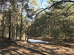 245_ip_190218_IMG_3603