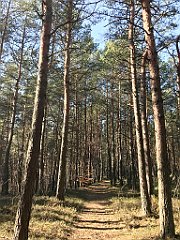 253_ip_190218_IMG_3614