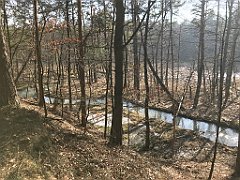 287_ip_190218_IMG_3626