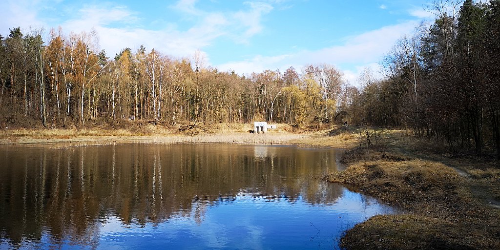 059_20_IMG_20190309_103203.jpg - dav