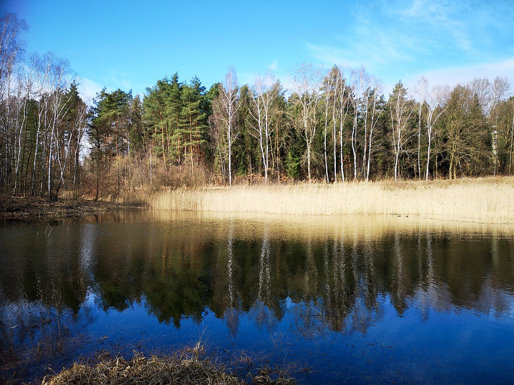 064_20_IMG_20190309_103233.jpg - rrem