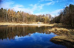 067_20_IMG_20190309_103241