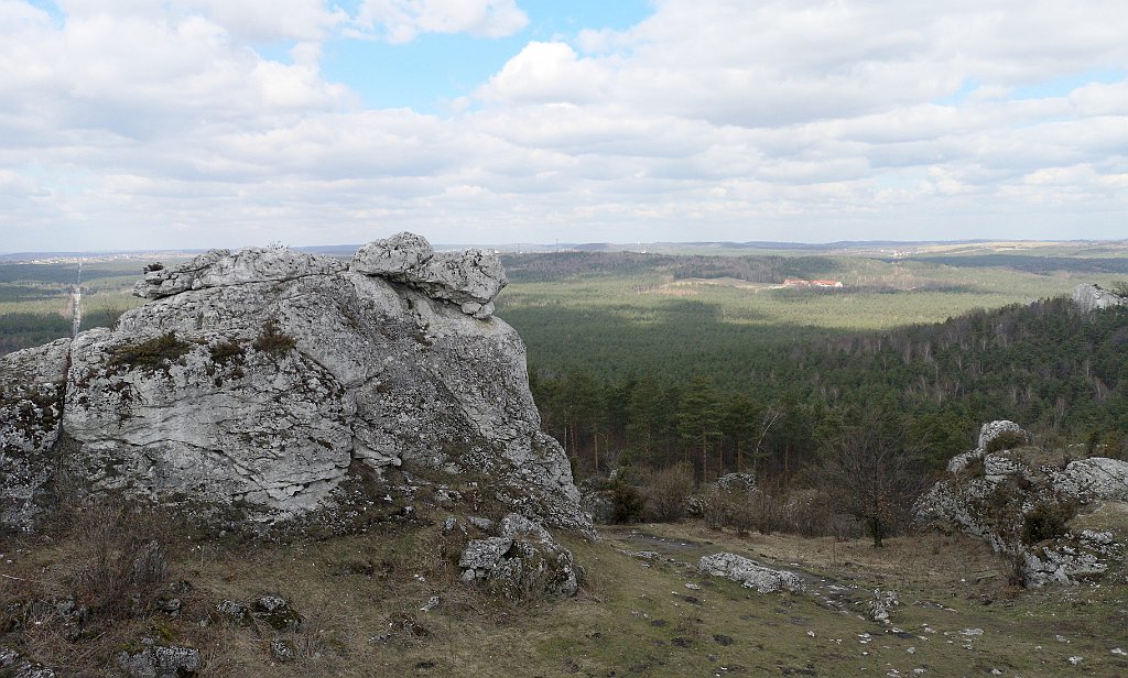 056_p20_IMG_20190320_105450.jpg - rrem