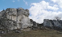 104_p20_IMG_20190320_111406