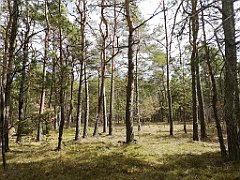 142_p20_IMG_20190320_123326