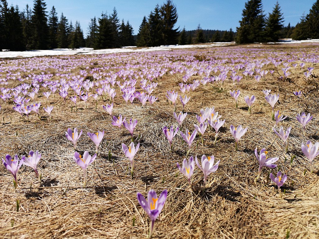 144_p20_IMG_20190420_131705.jpg - rrem