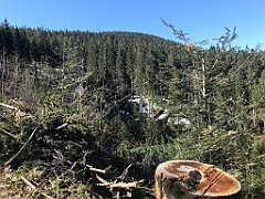 025_iP_190420_IMG_3700