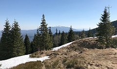 049_iP_190420_IMG_3719