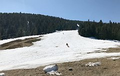 073_iP_190420_IMG_3737