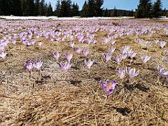 146_p20_IMG_20190420_131713