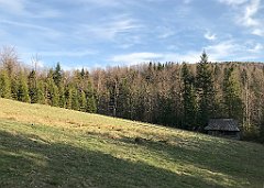 255_iP_190420_IMG_3778