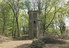 354_iP_20190430_IMG_3851