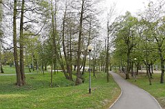 482_p20_IMG_20190430_185803