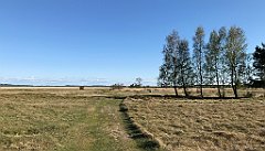 390_iP_20190505_IMG_3952