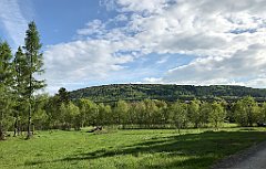 335_iP_190517_IMG_3970