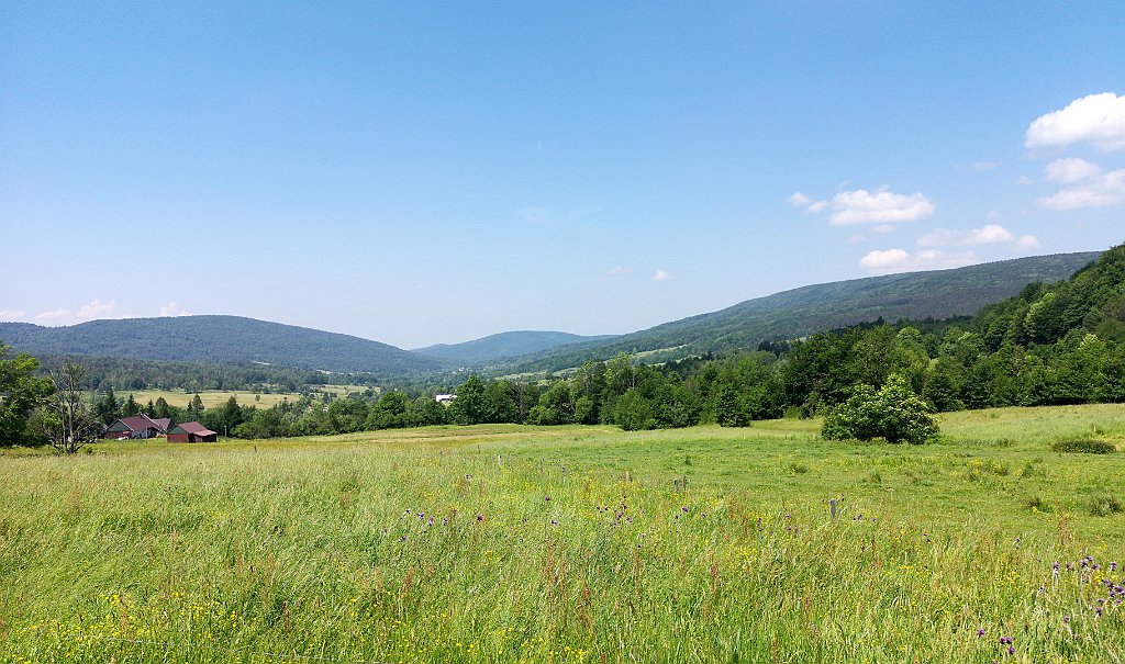 141_p20_IMG_20190610_122312.jpg - rrem