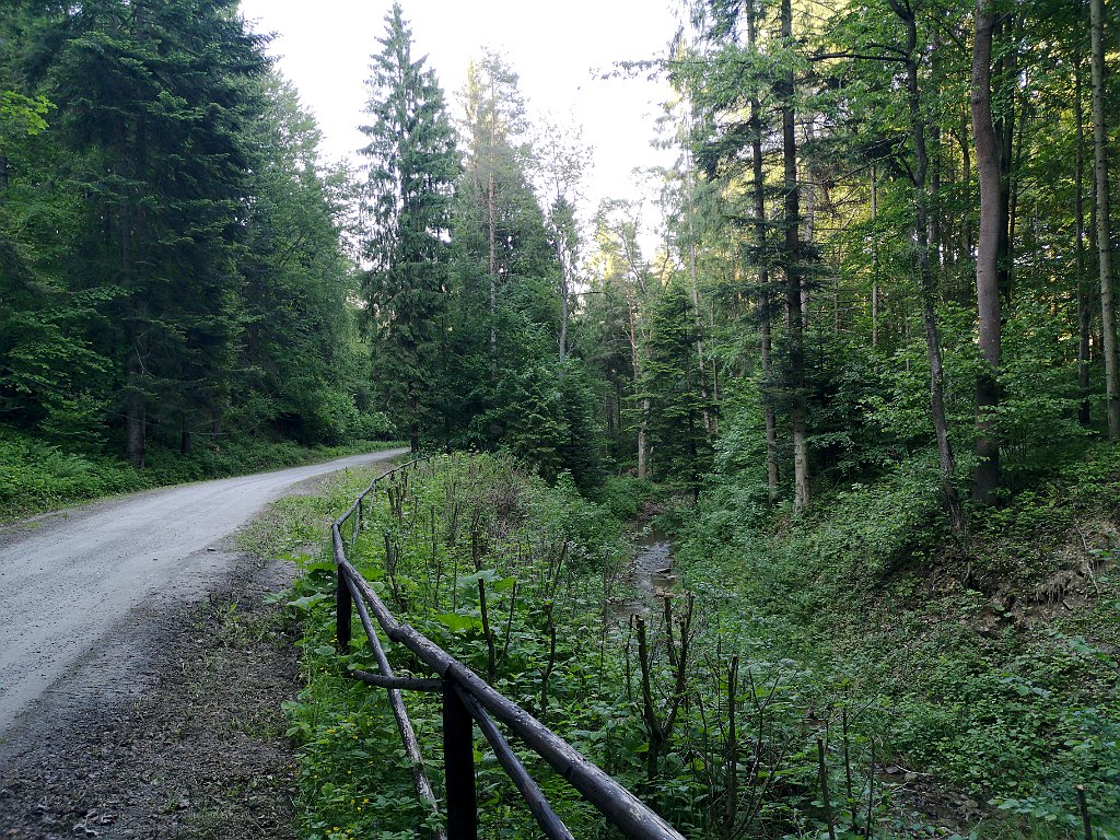 299_p20_IMG_20190610_182304.jpg - rrem