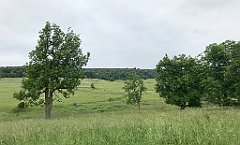 124_iP_190618_IMG_4031