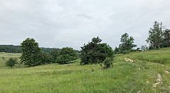 126_iP_190618_IMG_4035