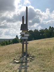 220_iP_190717_IMG_4208