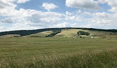 280_iP_190717_IMG_4221