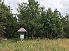 363_iP_190717_IMG_4235