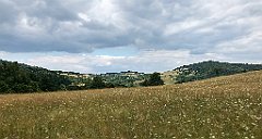 436_iP_190717_IMG_4243