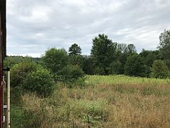 125_iP_190810_IMG_4423