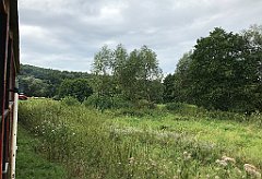 127_iP_190810_IMG_4426
