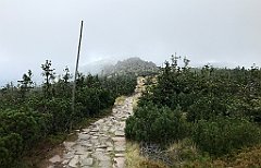 434_iP_190822_IMG_4539