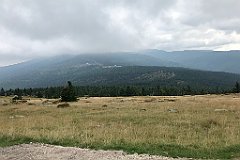 469_iP_190822_IMG_4543