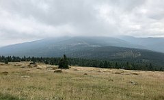 470_iP_190822_IMG_4544