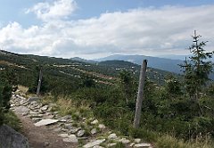 615_iP_190822_IMG_4568