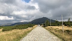 749_iP_190822_IMG_4608